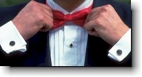 Bowtie.jpg (8052 bytes)