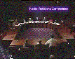 spp4.gif (22062 bytes)